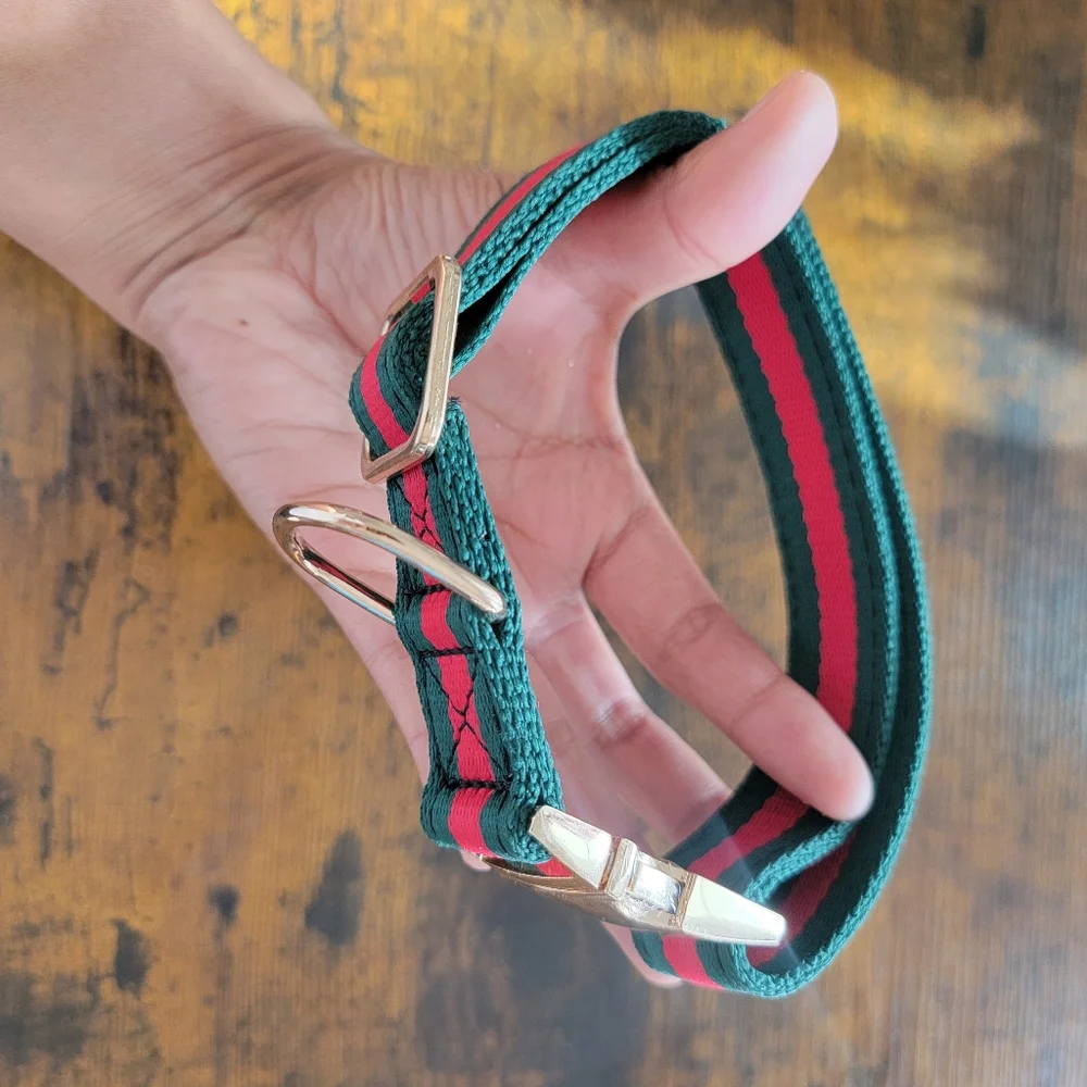 Last One! 2pcs Dog collar & leash Set
